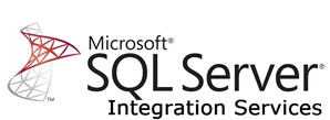 SSIS インポート ロゴ